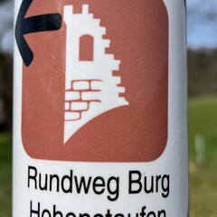 25-03-21 12-53-21 2491